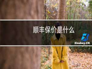 顺丰保价是什么