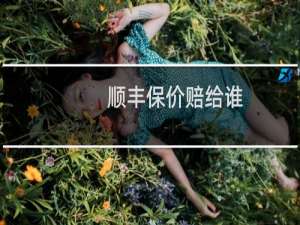 顺丰保价赔给谁
