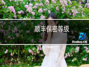 顺丰保密等级