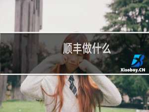 顺丰做什么