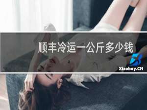 顺丰冷运一公斤多少钱