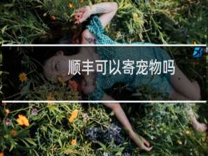 顺丰可以寄宠物吗