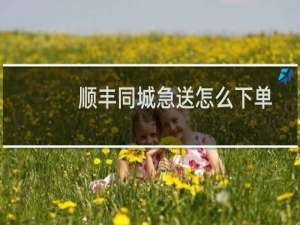 顺丰同城急送怎么下单