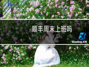 顺丰周末上班吗