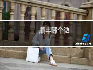 顺丰哪个微