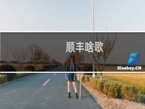 顺丰啥歌