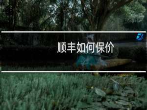 顺丰如何保价