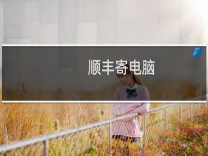 顺丰寄电脑
