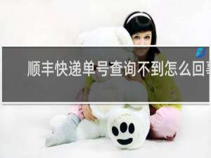 顺丰快递单号查询不到怎么回事