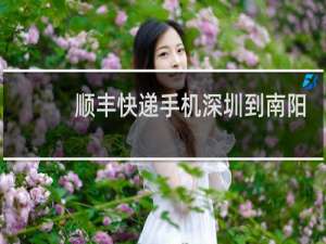 顺丰快递手机深圳到南阳