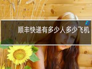 顺丰快递有多少人多少飞机