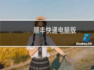 顺丰快递电脑版