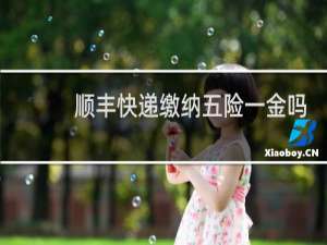 顺丰快递缴纳五险一金吗