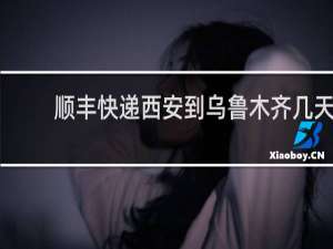 顺丰快递西安到乌鲁木齐几天