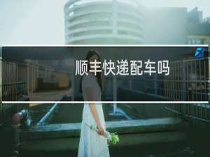 顺丰快递配车吗