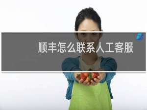 顺丰怎么联系人工客服