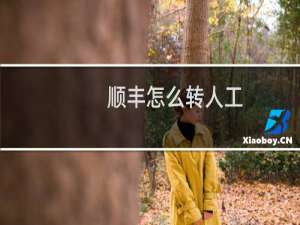 顺丰怎么转人工