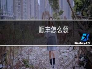 顺丰怎么领