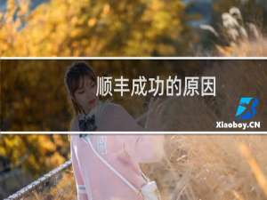 顺丰成功的原因