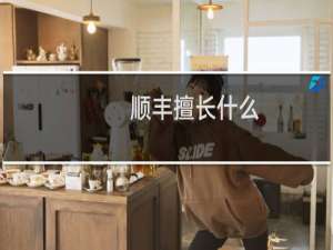 顺丰擅长什么