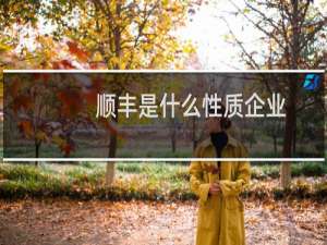 顺丰是什么性质企业