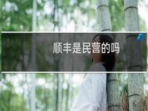 顺丰是民营的吗