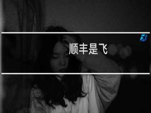 顺丰是飞