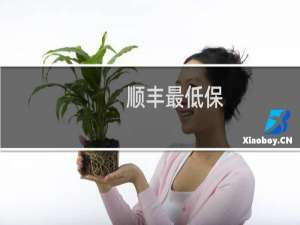 顺丰最低保