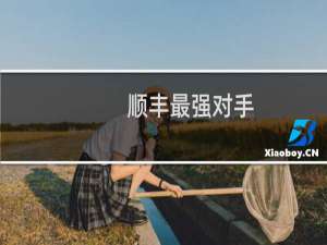 顺丰最强对手