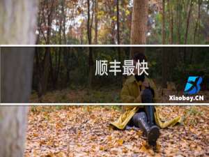 顺丰最快