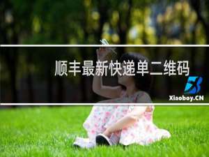 顺丰最新快递单二维码