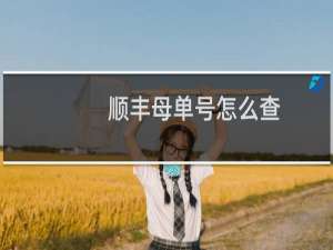 顺丰母单号怎么查