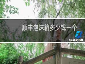 顺丰泡沫箱多少钱一个