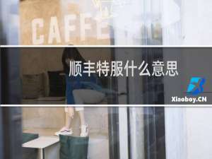 顺丰特服什么意思