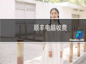 顺丰电脑收费