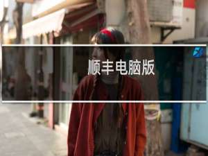顺丰电脑版