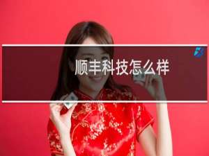 顺丰科技怎么样