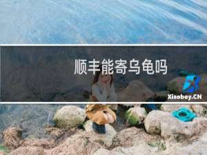 顺丰能寄乌龟吗