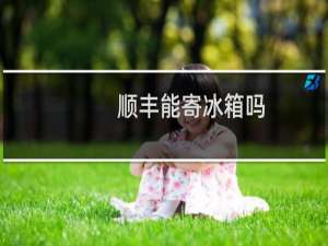 顺丰能寄冰箱吗