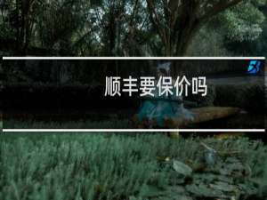 顺丰要保价吗