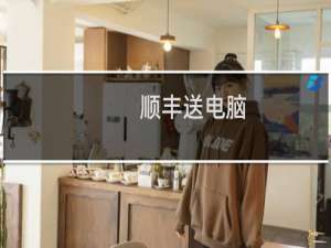 顺丰送电脑