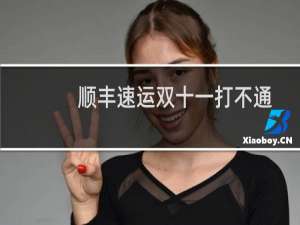 顺丰速运双十一打不通客服热线怎么办