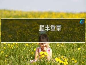 顺丰重量
