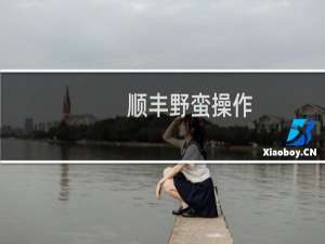 顺丰野蛮操作