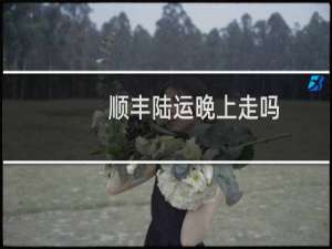 顺丰陆运晚上走吗