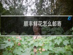 顺丰鲜花怎么邮寄