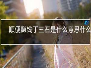 顺便赚钱丁三石是什么意思什么梗