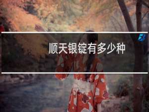 顺天银锭有多少种