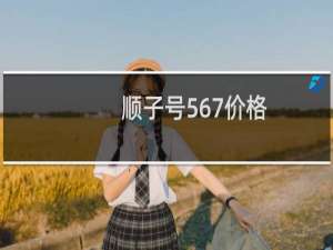 顺子号567价格