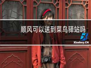 顺风可以送到菜鸟驿站吗